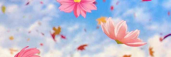 Sarah Başar 🐞 banner