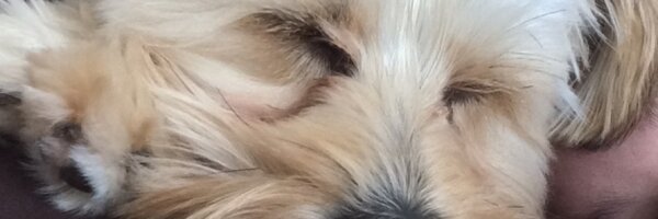 Chayenne__x Profile Banner