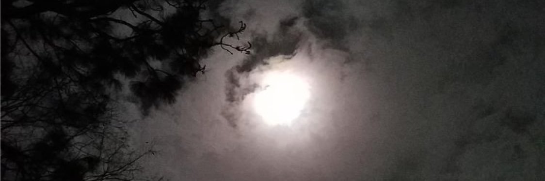 nwala861's profile banner image