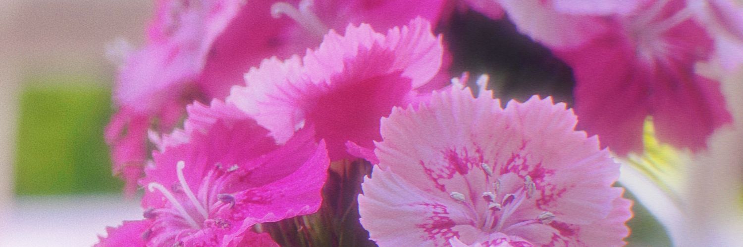hicxi's profile banner image