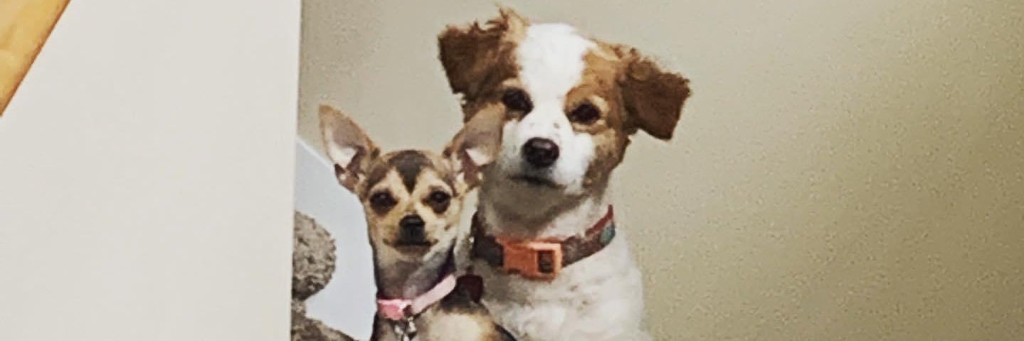larautthepro's profile banner image