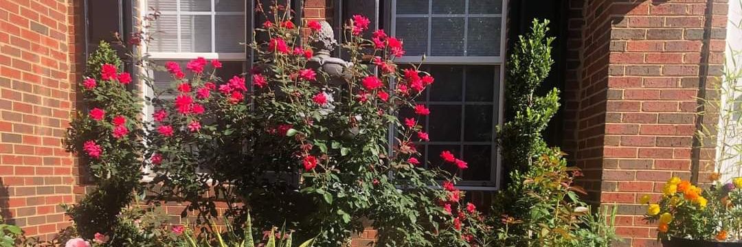bertha_funchess's profile banner image