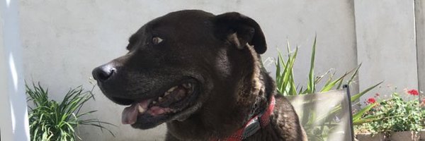 EdwardJZavala Profile Banner