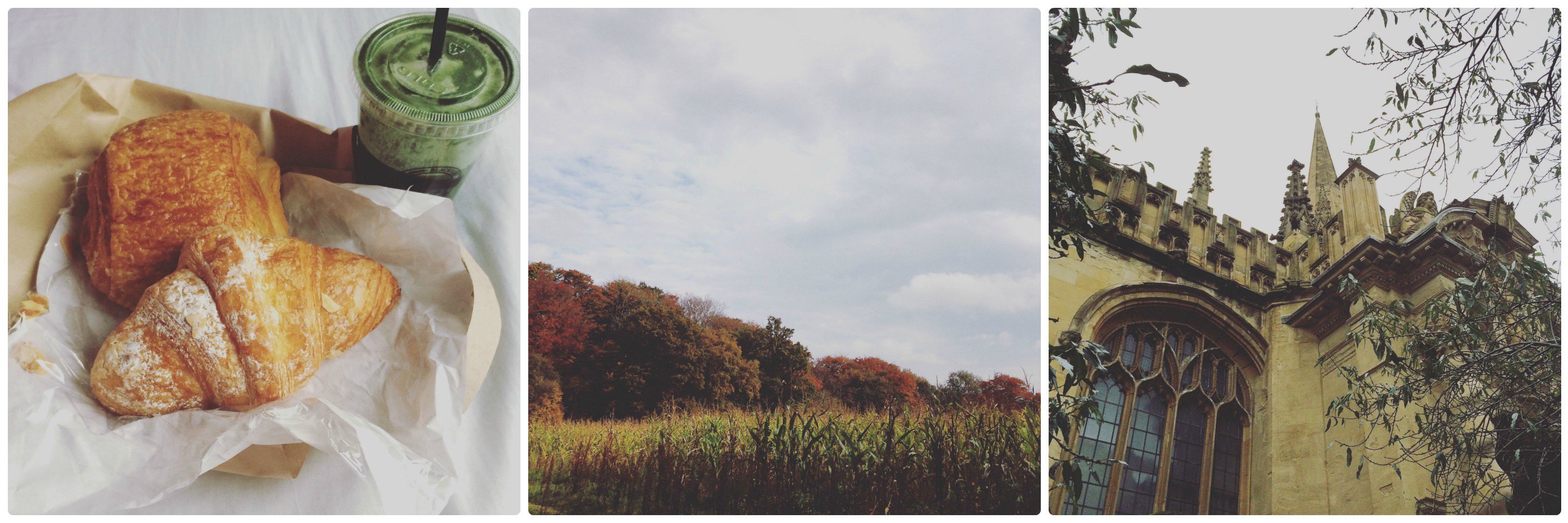 PipLeon's profile banner image