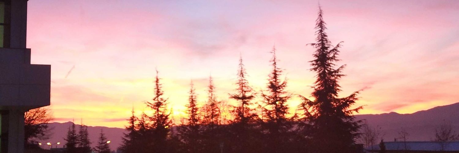 aysima_erdinc's profile banner image