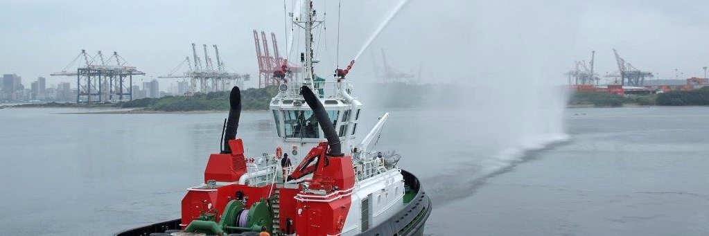 Sandock Austral Shipyards banner