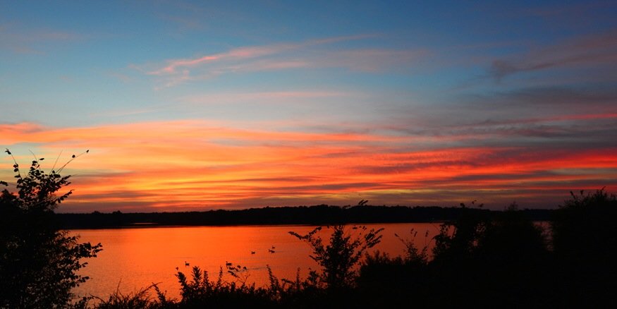 𝓓𝓮𝓭𝓮 𝓕𝓮𝓲𝓼𝓽𝓮𝓻 banner