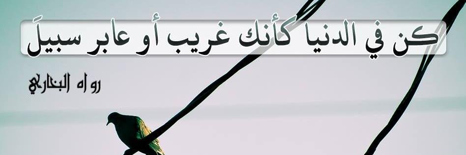 Ehab_bnMuhammad's profile banner image