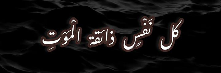 ѕнυנα υ∂ ∂ιη 🐦 banner