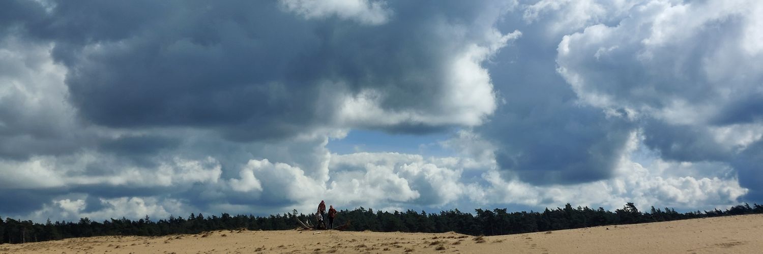 Dingena Schott banner