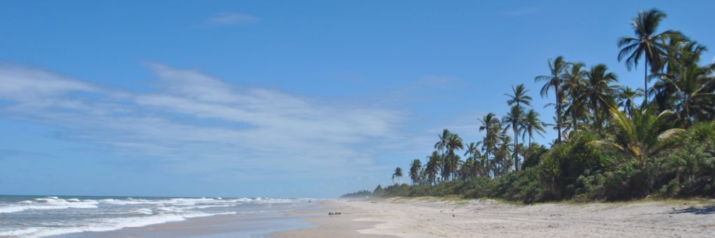 acuipe2018's profile banner image