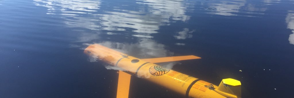 Kimmo Tikka banner