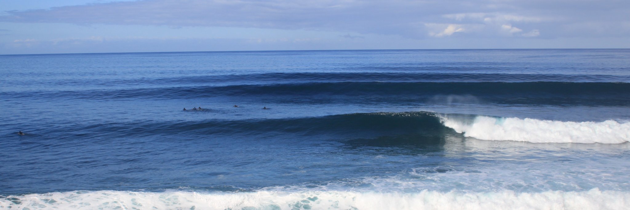 SurfDog360's profile banner image