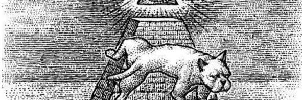 Claudia Boulton banner