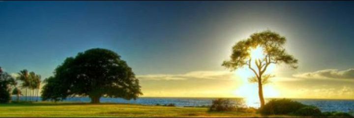 bethtchury's profile banner image
