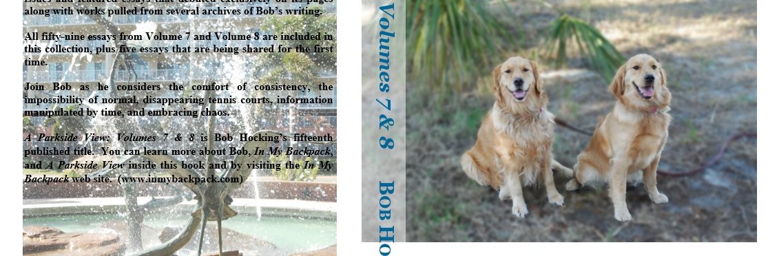 Bob Hocking banner