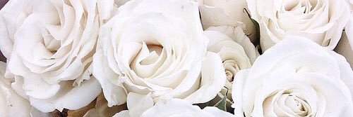 samanthagarroch's profile banner image