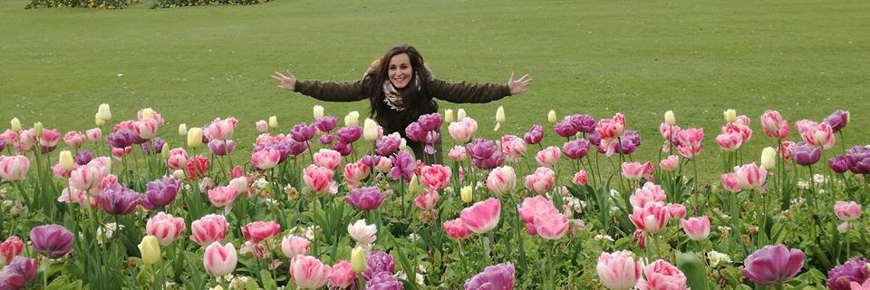 Meriyouse's profile banner image