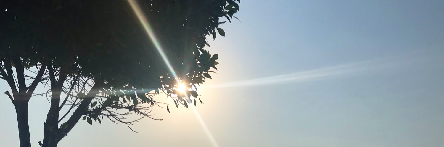 bgnvil's profile banner image