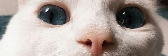 jsscrvr's profile banner image