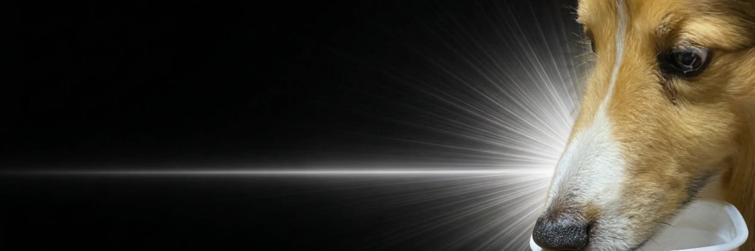 popxrocks_candy's profile banner image