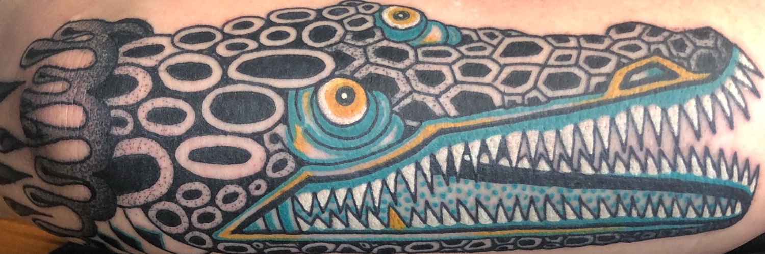 teide tattoo banner