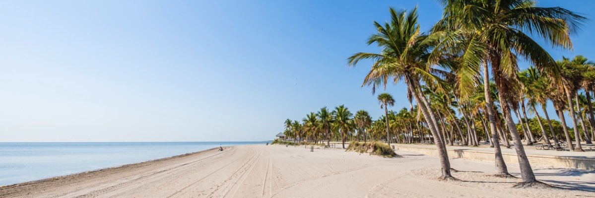 Alan Mockford banner
