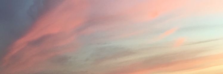 catharcilla's profile banner image