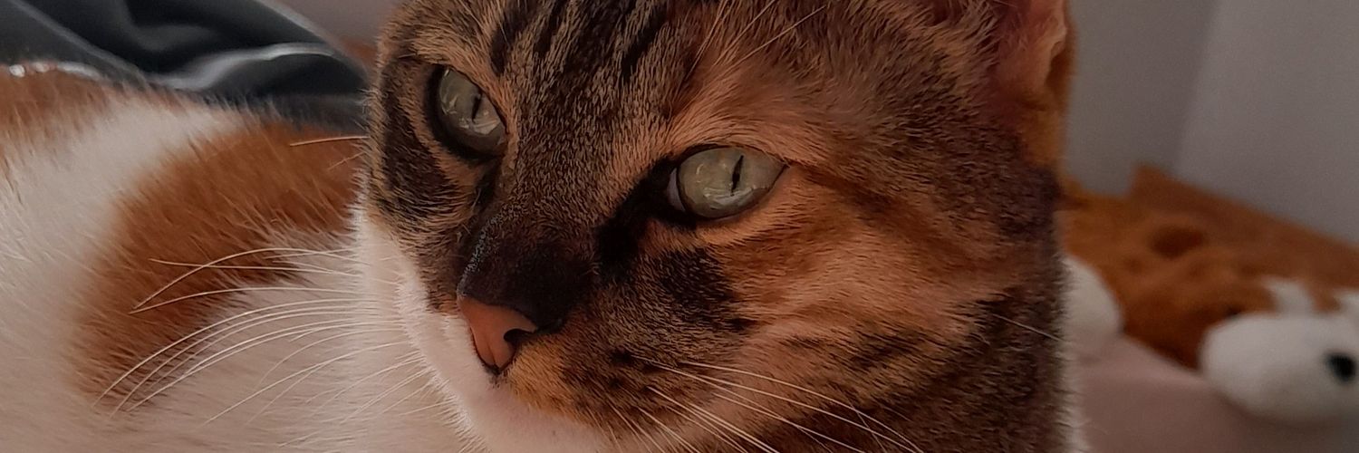 İrfan Yıldırım banner