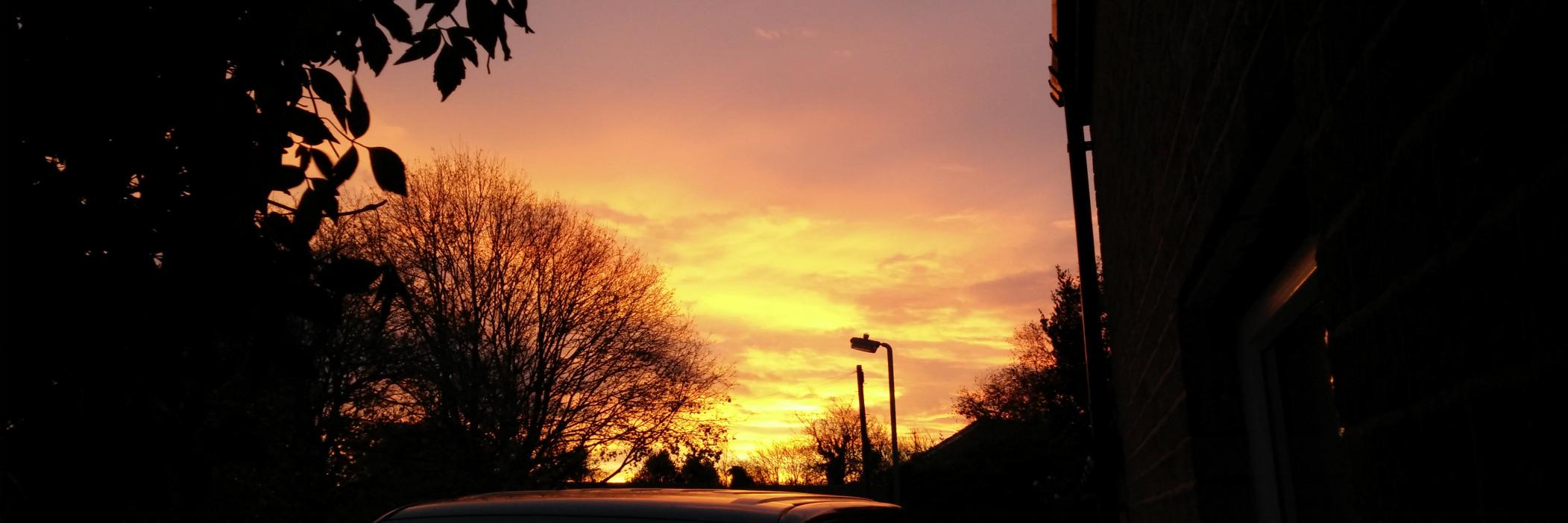 mpuleston's profile banner image
