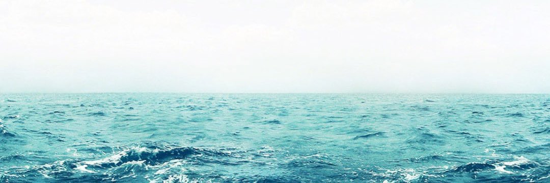 BrendaLLXin's profile banner image