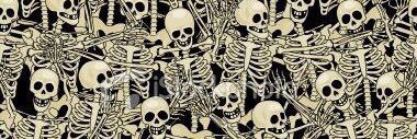 anuchinaaaa's profile banner image