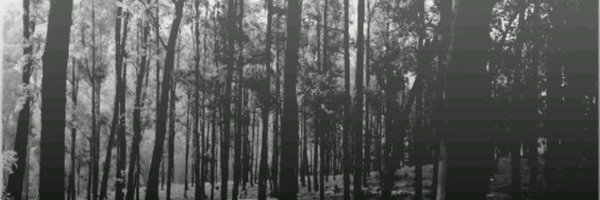 reloadhcpunk Profile Banner