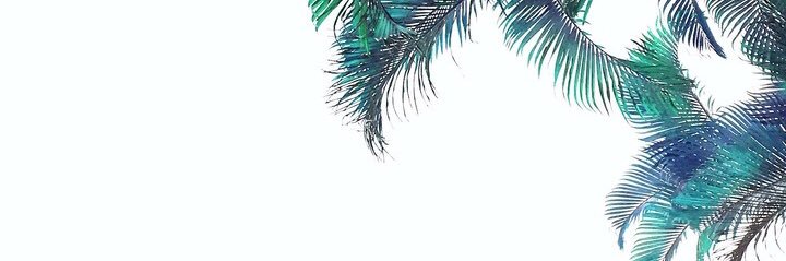 cierabaird's profile banner image