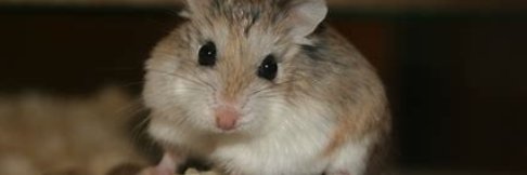 Alyson__T's profile banner image