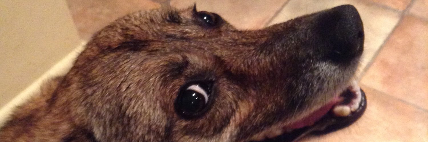 TabbiCandy's profile banner image