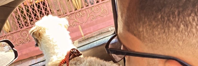 castmarrero's profile banner image