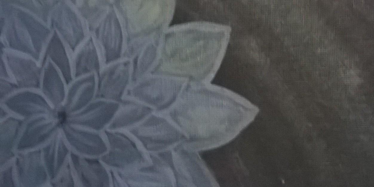 illiriam's profile banner image