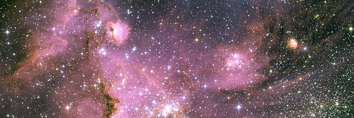 Stupid_Poetry's profile banner image