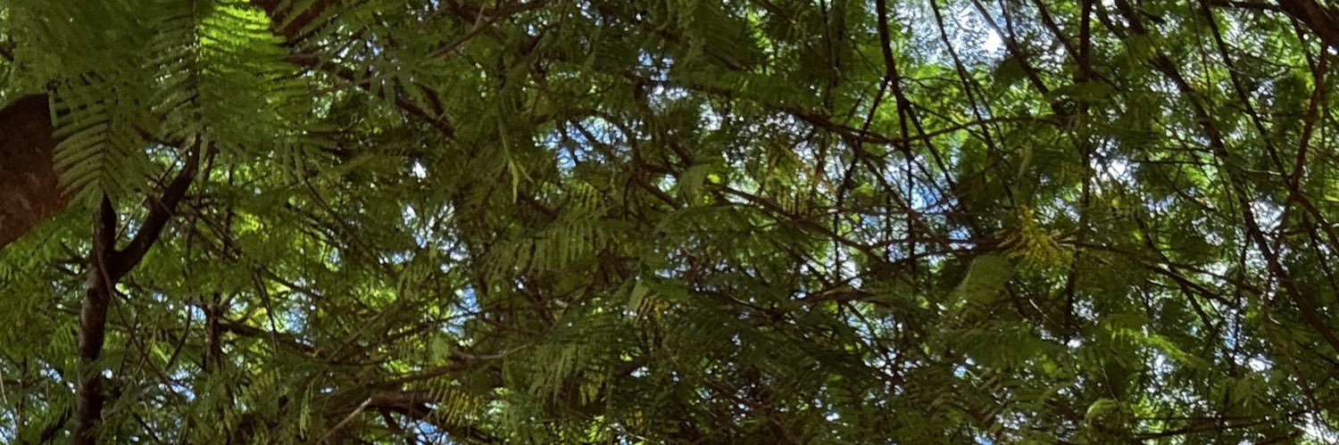 geobernucci's profile banner image