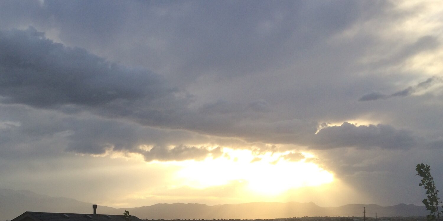 Fox Zimmerman banner