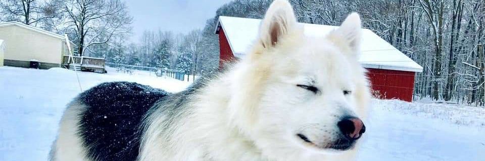 omoakin118's profile banner image