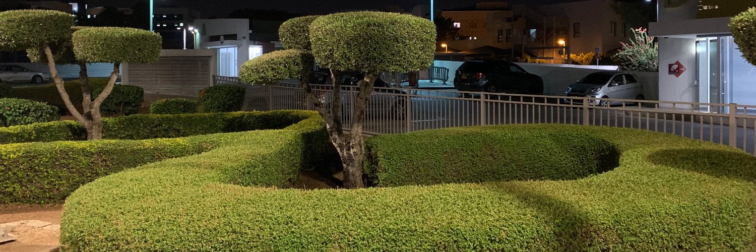 Kirill Grishanin banner