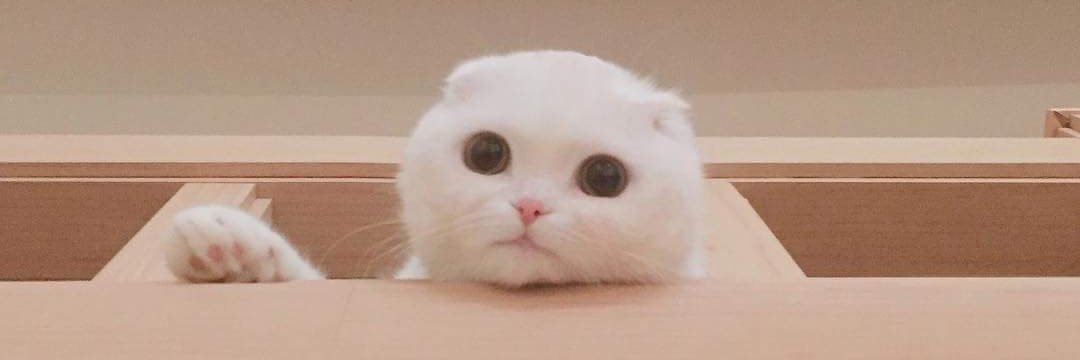 mminmint_'s profile banner image