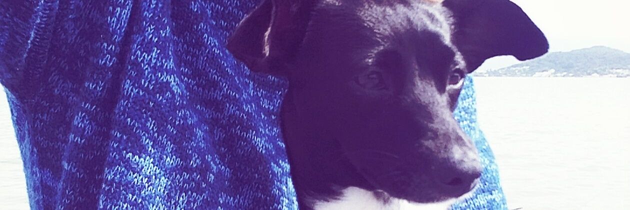 Junior_Junkes's profile banner image