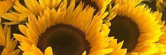tessabrookee's profile banner image