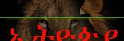 mkags2's profile banner image