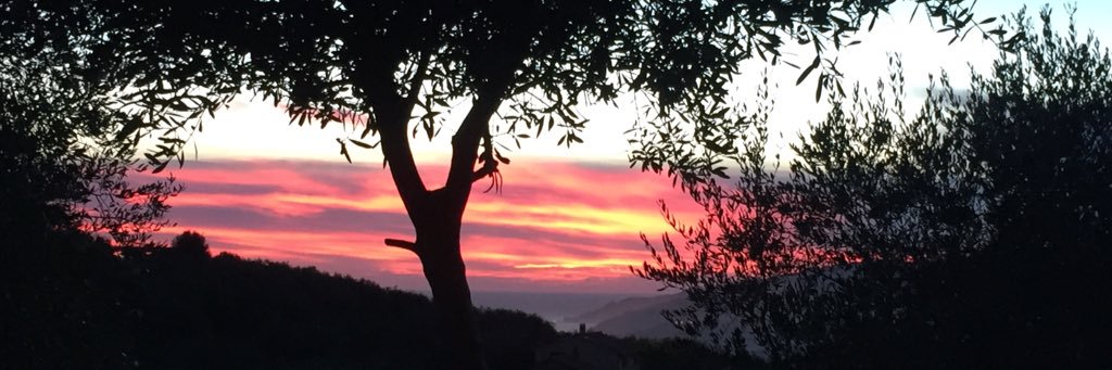 Désirée Reder banner