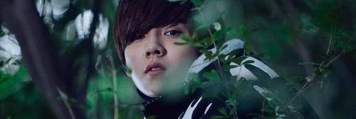xiaoshiguang's profile banner image