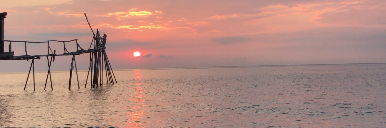 srtshasan's profile banner image